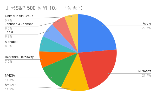 미국S&P500 상위 10개 구성 종목에 대한 인포그래픽. 