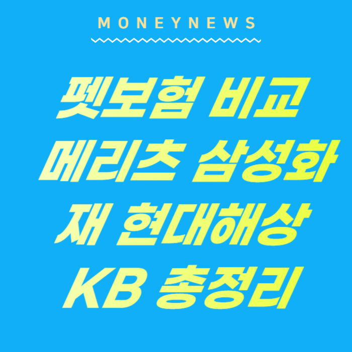 펫보험 비교, 메리츠 삼성화재 현대해상 KB 4곳 총정리에 대한 카드뉴스.